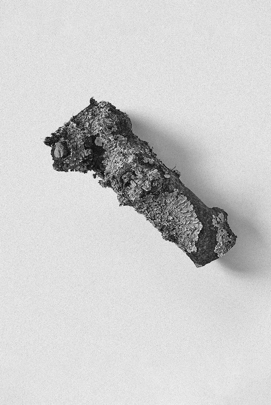 oakmoss-candle-bordan